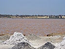 Lac Rose du Sénégal - 2